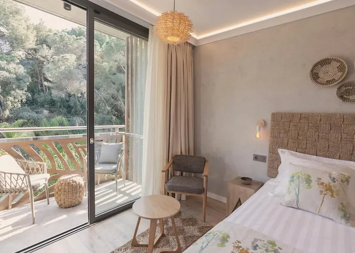 Отель Casa Coco Boutique & 4*s - Adults Only 4*